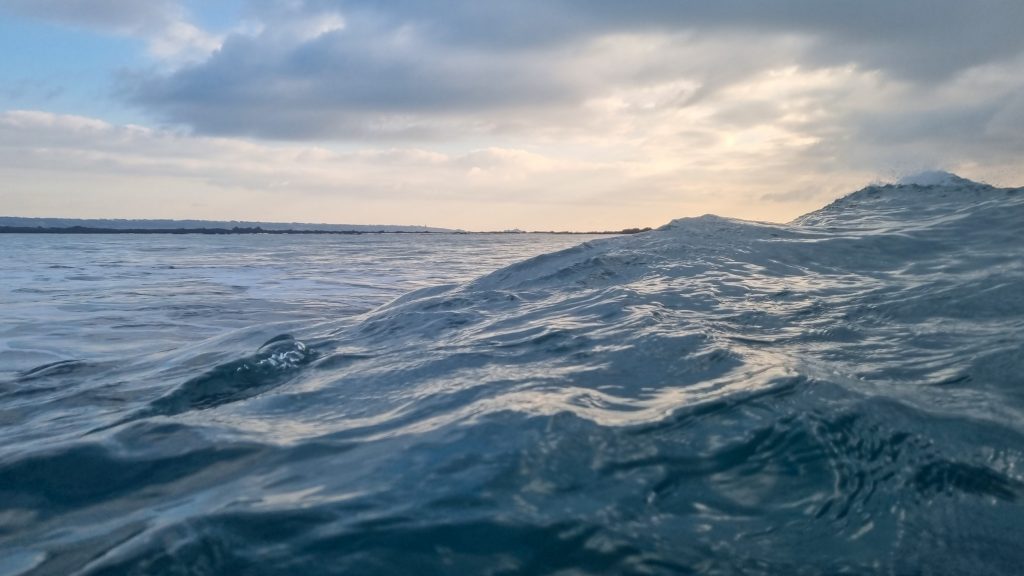 Low tide reef